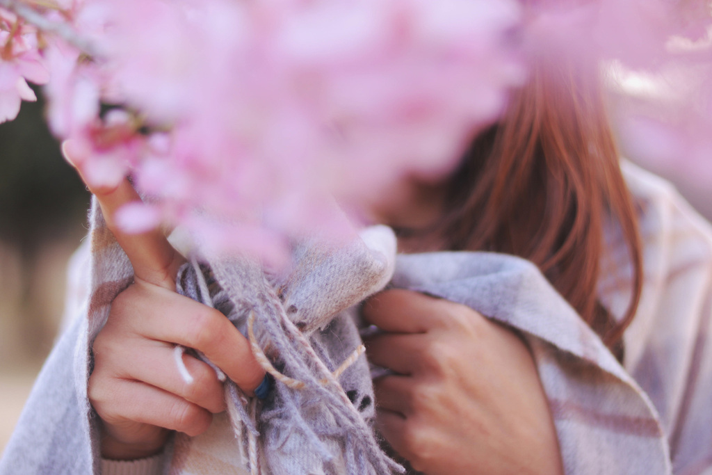桜の花で顔が隠れた女性の画像