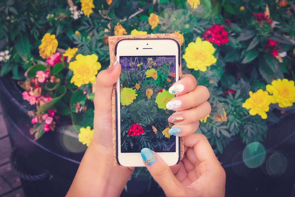スマートフォンのカメラで花の写真を撮影している女性の手